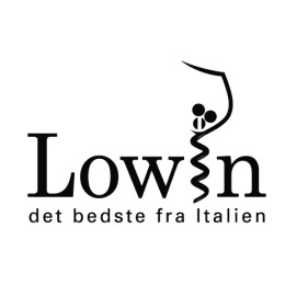 Lowin, logo